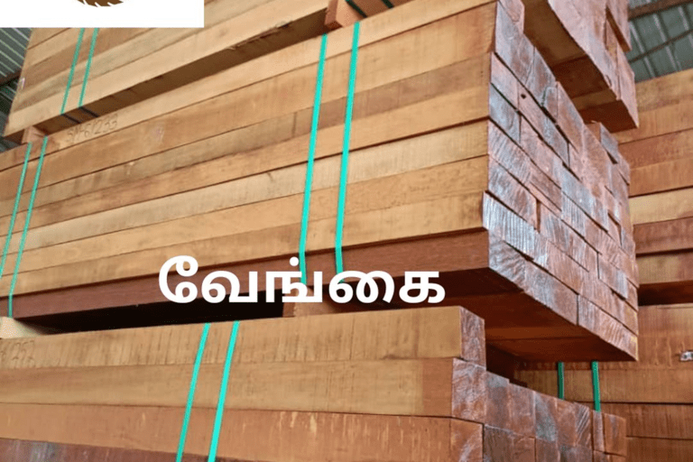 Vengai (Indonesia) Merbau