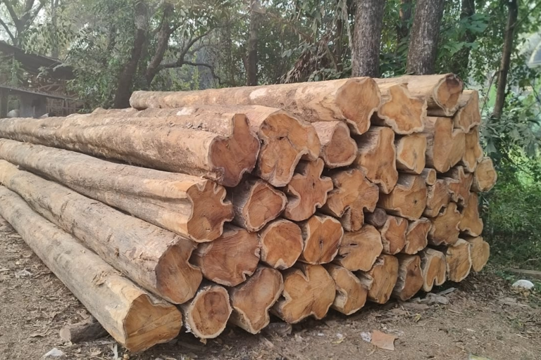 Nilambur Teak